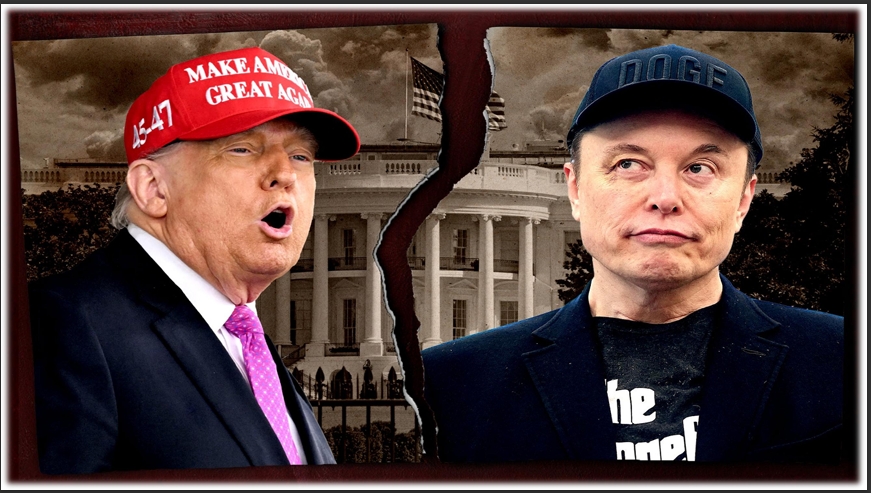 Musk, Without Me Trump Would Have Lost Election