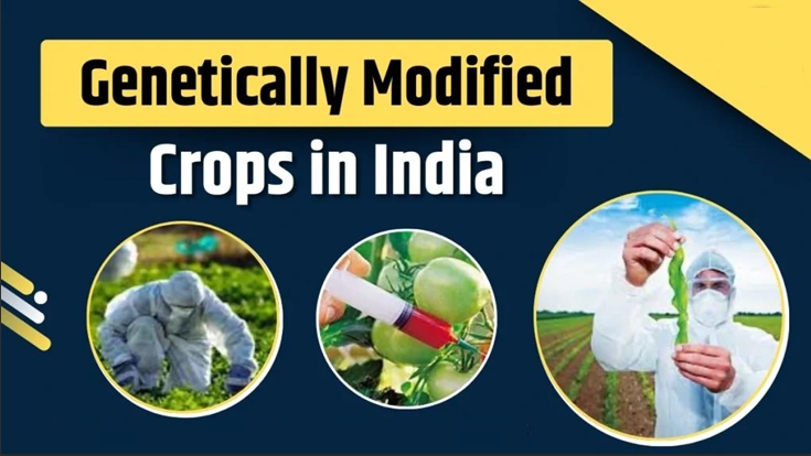 Ind-US Trade Talk Crucial Stage On Agri & Dairy
